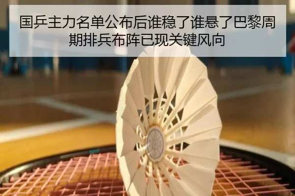 国乒主力名单公布后谁稳了谁悬了巴黎周期排兵布阵已现关键风向